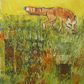 Fox in Tall Grass