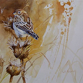 Thistle and Vesper Sparrow