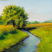 Meadow with Creek