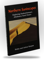 Northern Sandscapes