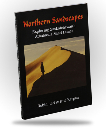 Northern Sandscapes - Image 1