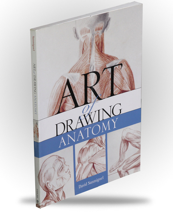 Art of Drawing Anatomy - Image 1