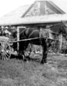 21st Century Sod House - Image 2