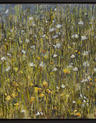 Wildflowers - Image 2