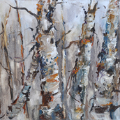 Birch Study in Winter