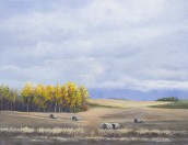 Shades of Autumn
