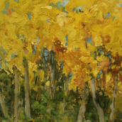 Yellow Trees