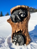 Raccoon Stump