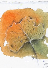 Leaf 1